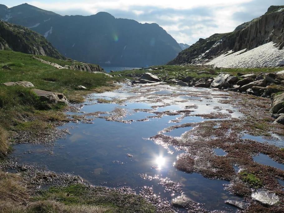 "Le Desman" Confortable T2 A La Montagne Face Aux Thermes Rando, Cure Aulus-les-Bains Esterno foto