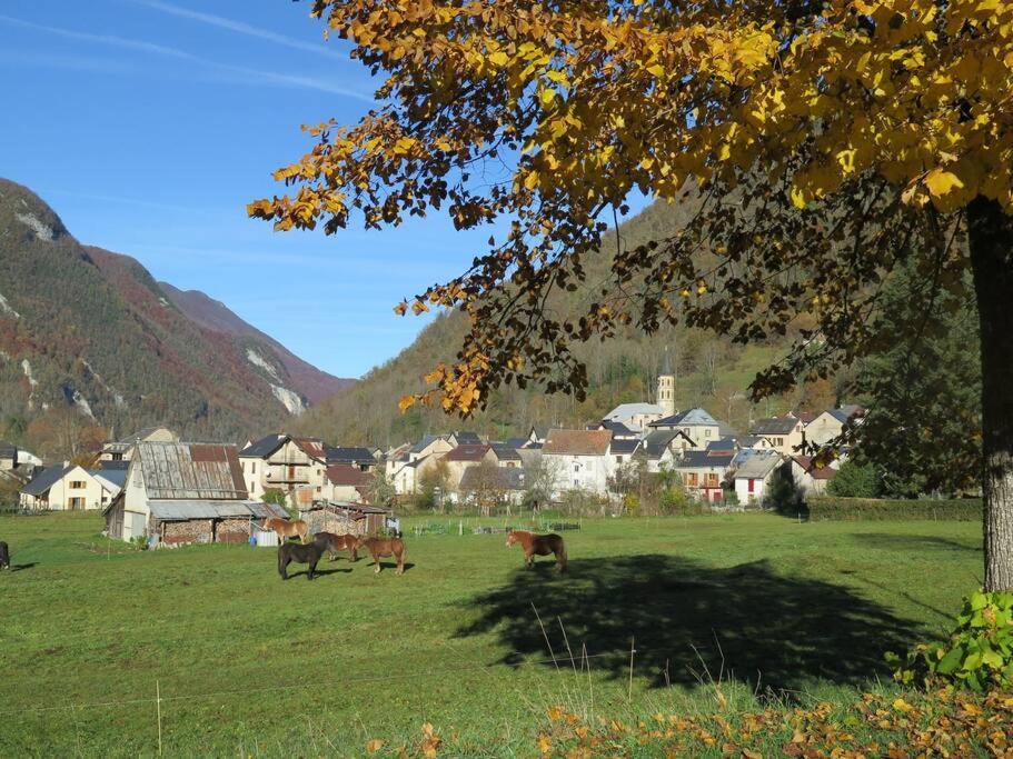 "Le Desman" Confortable T2 A La Montagne Face Aux Thermes Rando, Cure Aulus-les-Bains Esterno foto