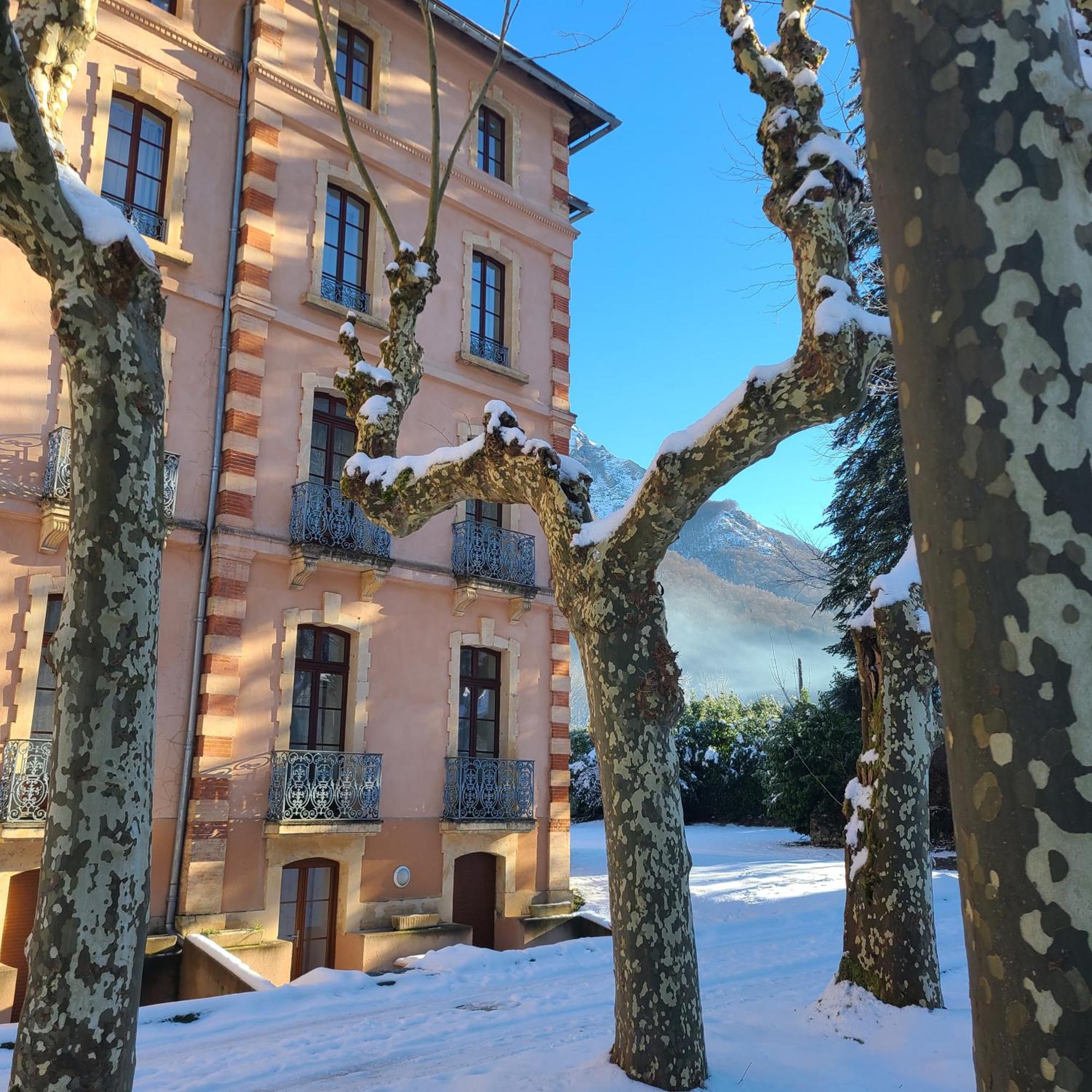 "Le Desman" Confortable T2 A La Montagne Face Aux Thermes Rando, Cure Aulus-les-Bains Esterno foto